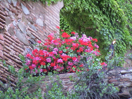 24-can-cortada-barcelona